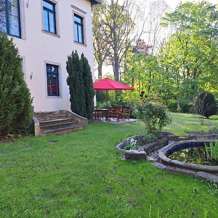 Gaestehaus Villa Seraphinum Dresde Extérieur photo